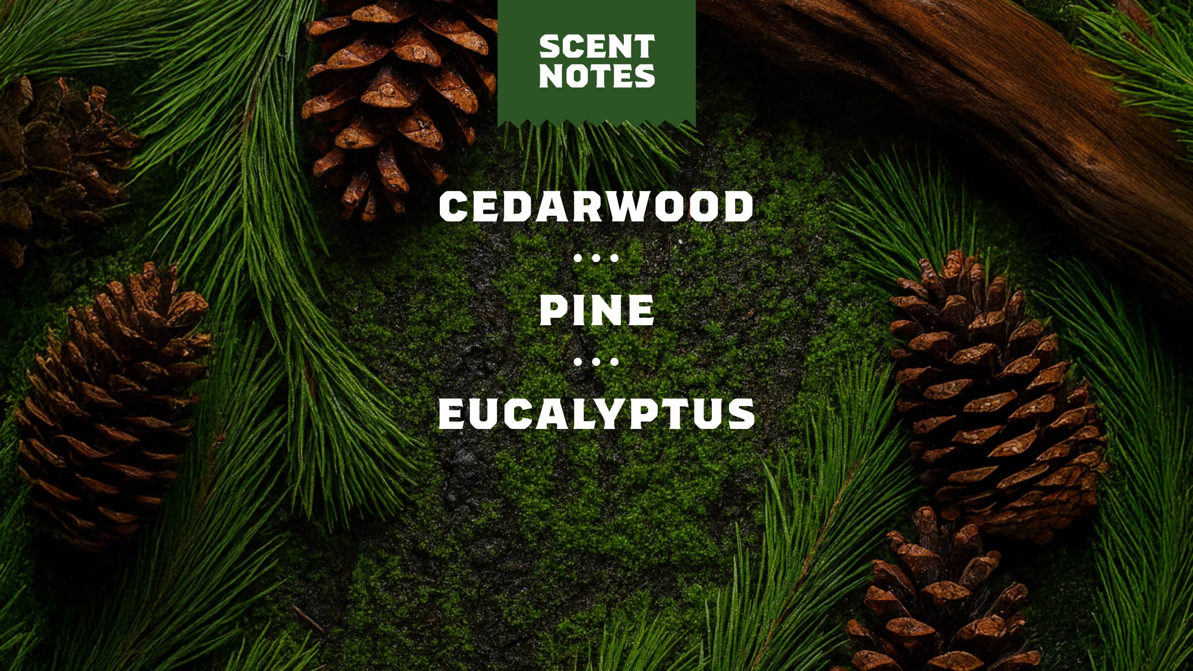 Pine Tar Conditioner 4 Pine Tar Deodorant