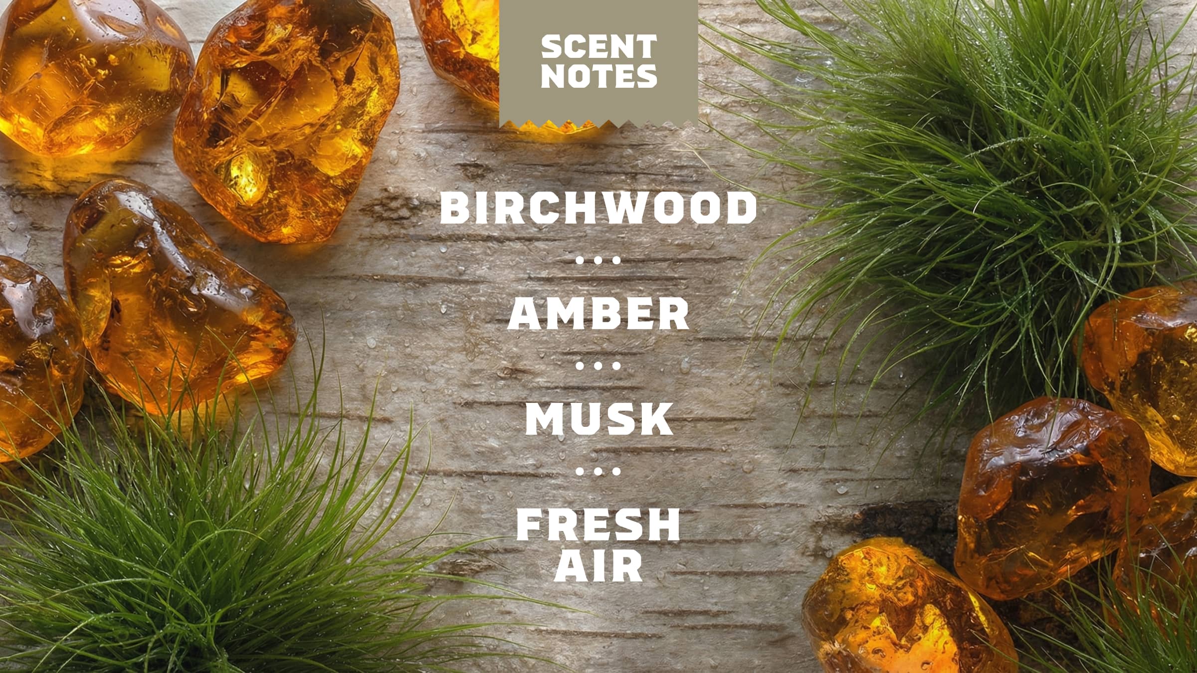 Birchwood Breeze 4 14 oz Birchwood Breeze Body Wash