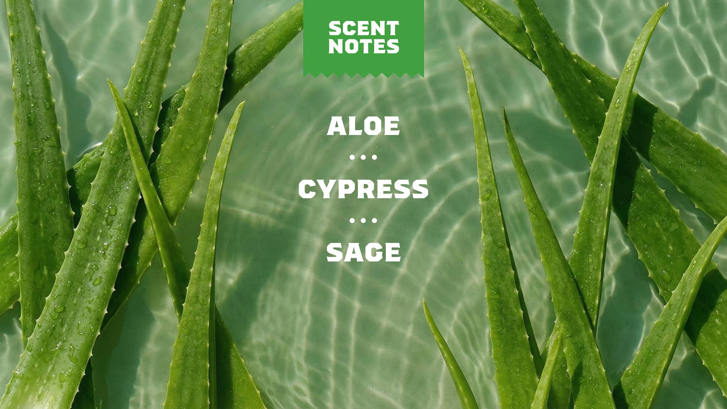 Cool Fresh Aloe Conditioner 4 Cool Fresh Aloe Conditioner